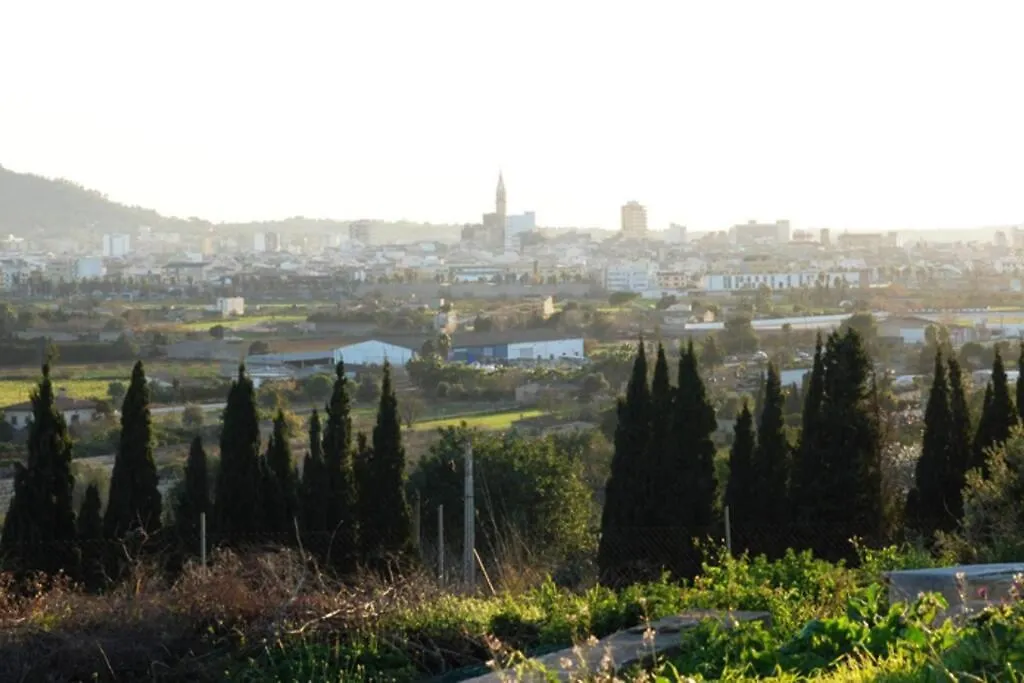 Hébergement de vacances Finca Can Peixet Manacor